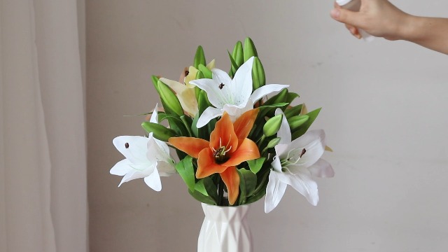 ・ lily (⁠◍⁠•⁠ᴗ⁠•⁠◍⁠)⁠❤ Amazon.com: KaBloom Flowers - Gentle Sympathy Sentiments